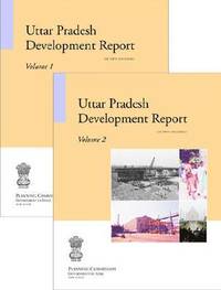 bokomslag Uttar Pradesh Development Report