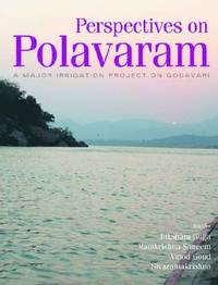 bokomslag Perspectives on Polavaram