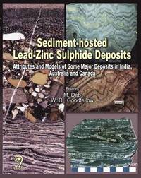 bokomslag Sediment-Hosted Lead-Zinc Sulphide Deposits