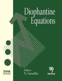 bokomslag Diophantine Equations