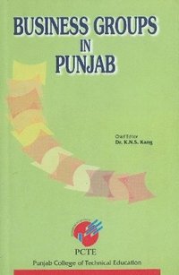 bokomslag Business Groups in Punjab