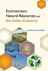 bokomslag Environment, Natural Resources & the Indian Economy