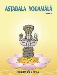 bokomslag Astadala Yogamala Vol 6