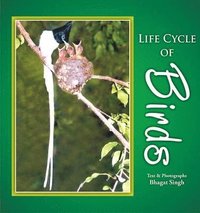 bokomslag Life Cycle of Birds