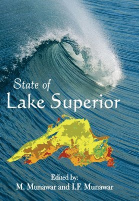 bokomslag State of Lake Superior