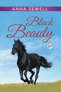 bokomslag Black Beauty