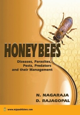 Honey Bees 1