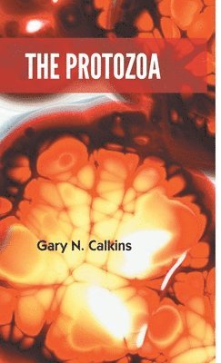 The Protozoa 1