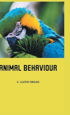 bokomslag Animal Behaviour