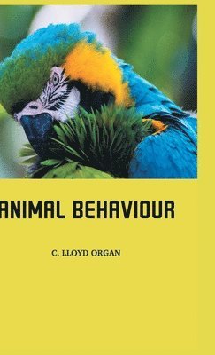 Animal Behaviour 1