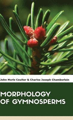 Morphology of Gymnosperms