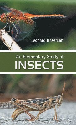 Leonard Haseman - Elementary Study of insects, Inbunden
