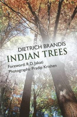 Indian Trees 1