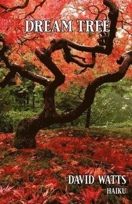 David Watts - Dream Tree, Häftad