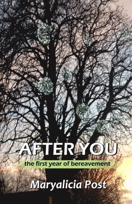 Maryalicia Post - After You: A Journey through the First Year of Bereavement, Häftad