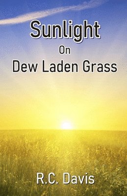 Sunlight On Dew Laden Grass 1