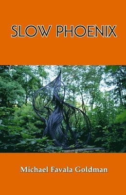 Michael Favala Goldman - Slow Phoenix, Häftad