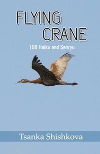 bokomslag Flying Crane