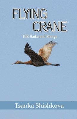 Flying Crane 1