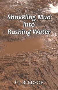 bokomslag Shoveling Mud into Rushing Water