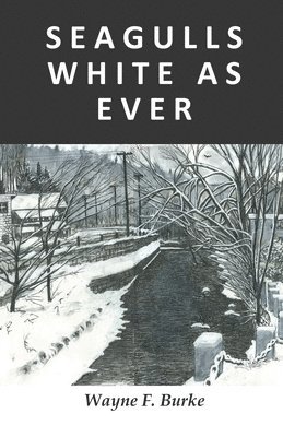 Wayne F Burke, Wayne F. Burke - S E A G U L L S W H I T E A S E V E R, Häftad