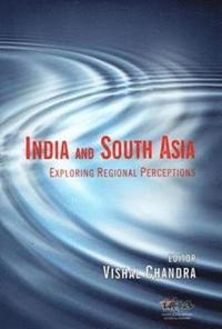 bokomslag India and South Asia