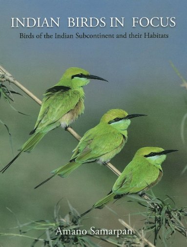 bokomslag Indian Birds in Focus