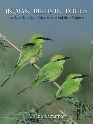 Indian Birds in Focus 1