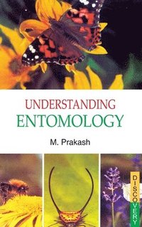 bokomslag Understanding Entomology