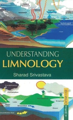 bokomslag Understanding  Limnology