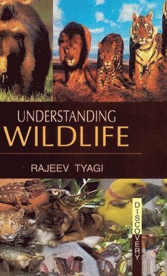 Understanding Wildlife 1