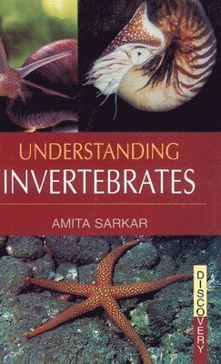 bokomslag Understanding Invertebrates