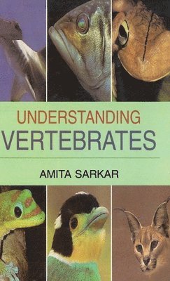 bokomslag Understanding  Vertebrates