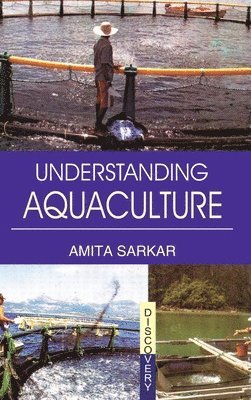 bokomslag Understanding Aquaculture