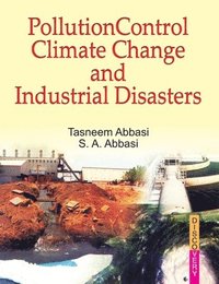 bokomslag Pollution Control, Climate Change and Industrial Disasters