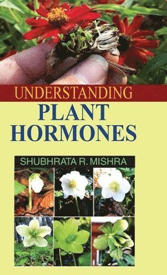 Understanding Plant Hormones 1