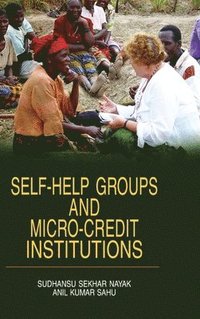 bokomslag Self-Help Groups and Micro-Credit Institutions