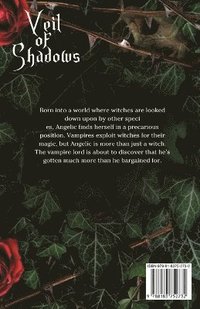 bokomslag Veil of Shadows