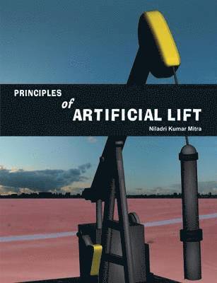 bokomslag Principles of Artificial Lift