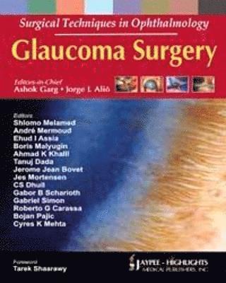 bokomslag Surgical Techniques in Ophthalmology: Glaucoma Surgery