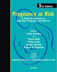 bokomslag Pregnancy at Risk