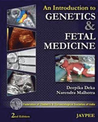 bokomslag Introduction to Genetics and Fetal Medicine