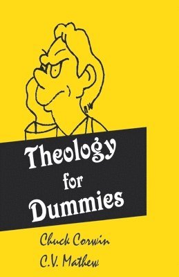 bokomslag Theology for Dummies