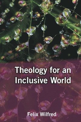 bokomslag Theology for an Inclusive World