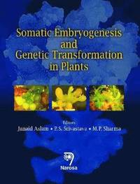 bokomslag Somatic Embryogenesis and Genetic Transformation in Plants