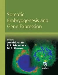 bokomslag Somatic Embryogenesis and Gene Expression