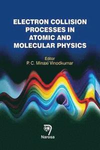 bokomslag Electron Collision Processes in Atomic and Molecular Physics