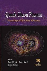 bokomslag Quark Gluon Plasma