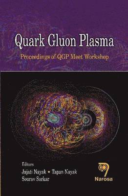Quark Gluon Plasma 1