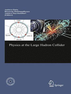 Amitava Datta, B. Mukhopadhyaya, A. Raychaudhuri - Physics at the Large Hadron Collider, Inbunden